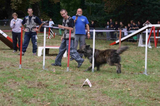 foire-haricots 2011-09-17et18